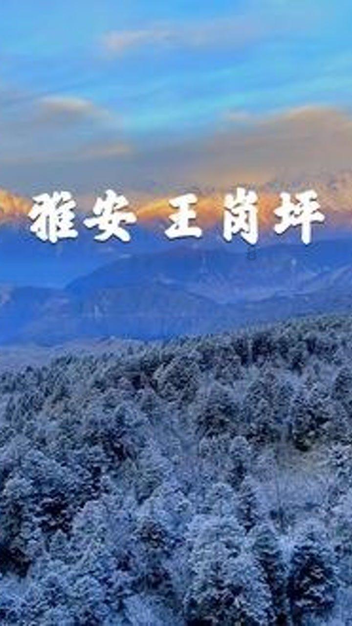 疯狂之冠