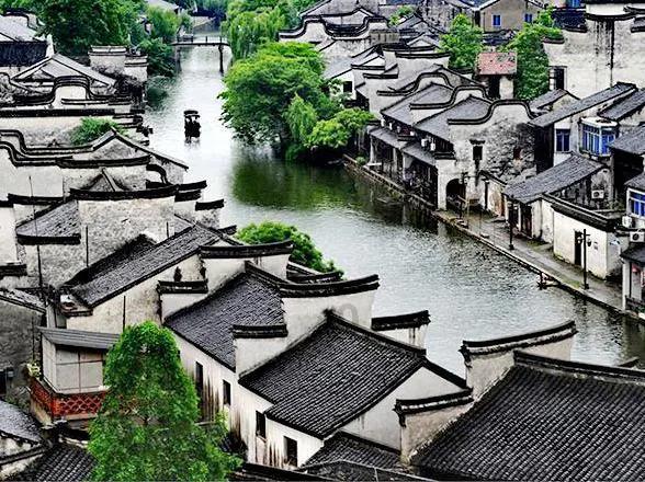 扬科维奇:世上只有已经下课和等待下课的教练