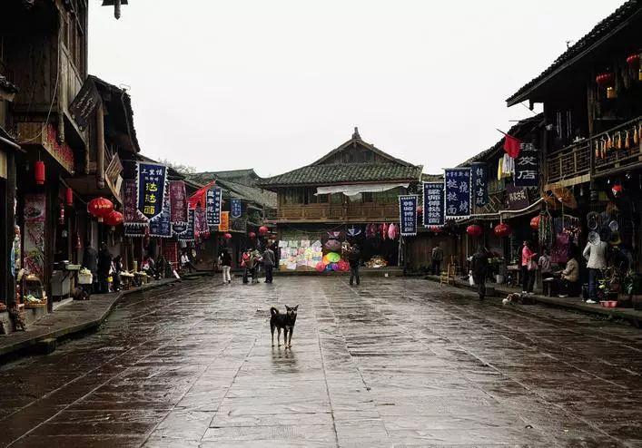 纳斯达克指数ETF早盘大涨逾8%，溢价超16%